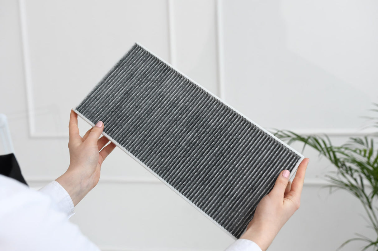 Filtro Aspirador Podo (Carbono)