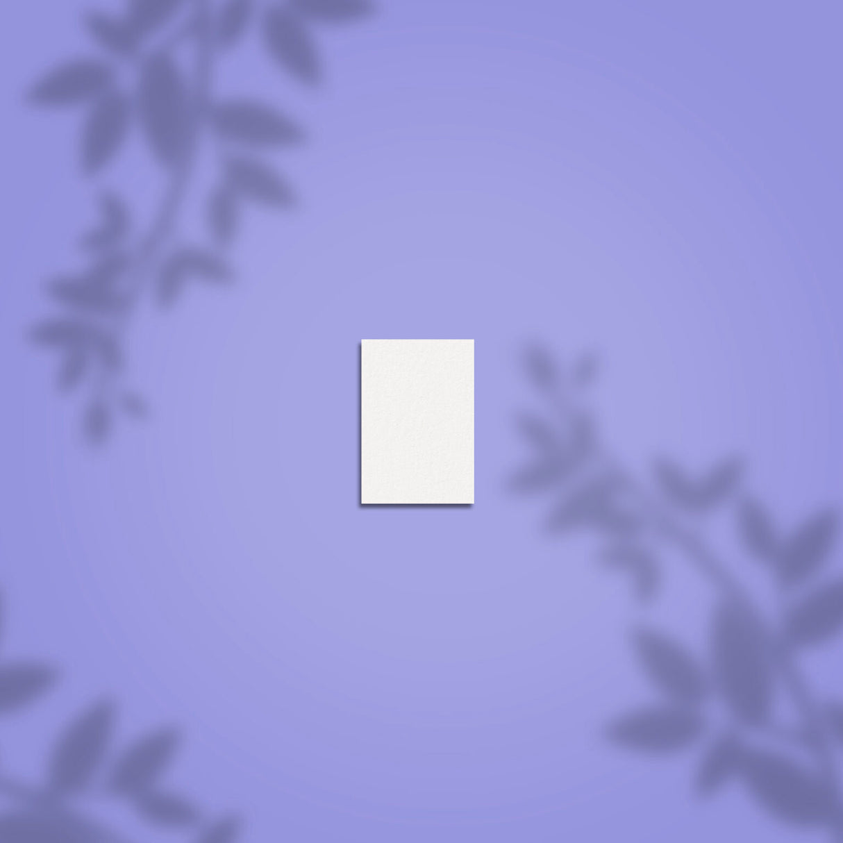 Buffer Retangular Mini EXPERT 51 100/180 (50 unidades)