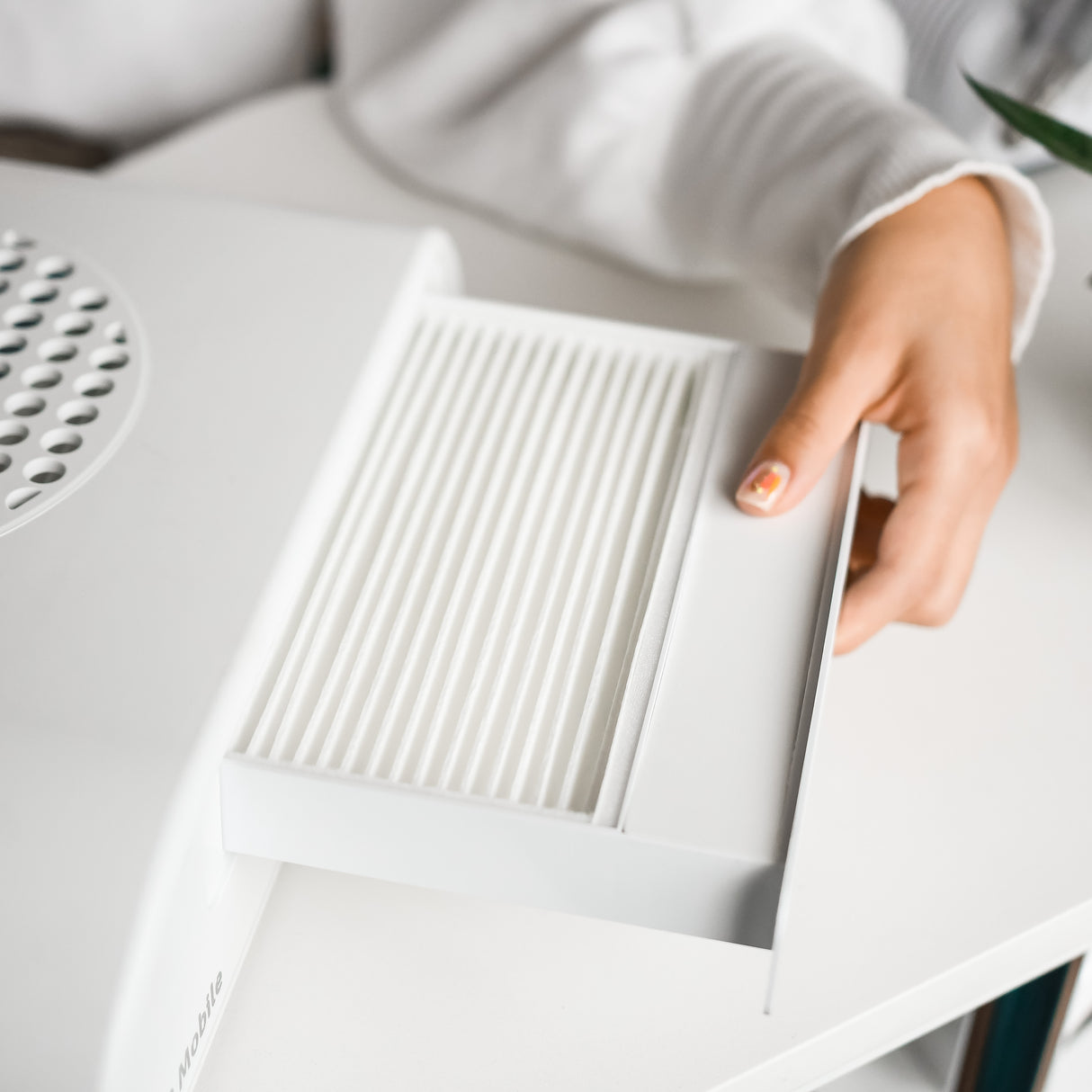 Filtro para Aspirador Portátil Afinia