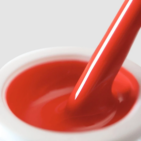 204 Extreme Color Paint Gel Coral Reef 5g